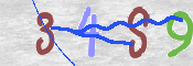 キャプチャ画像