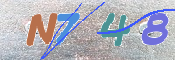 キャプチャ画像