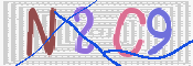 キャプチャ画像